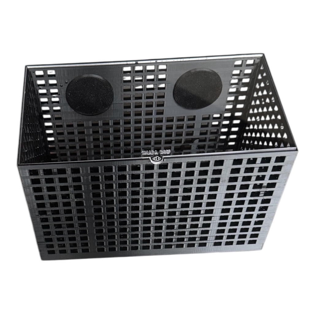 Anemone Basket