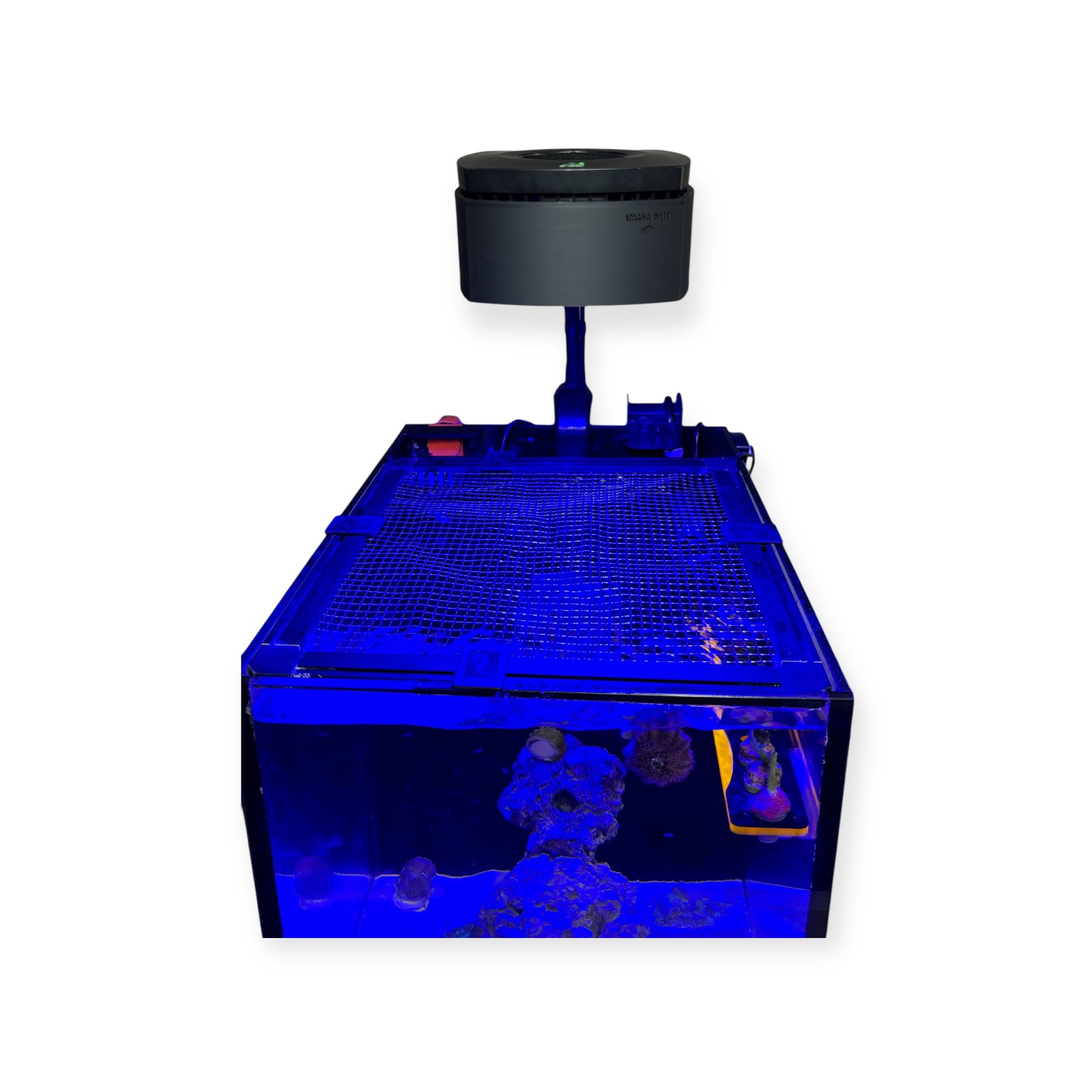 AI Prime Diffuser