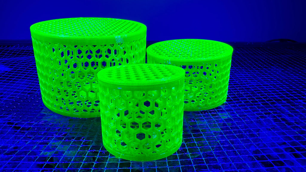 Shroom Cage