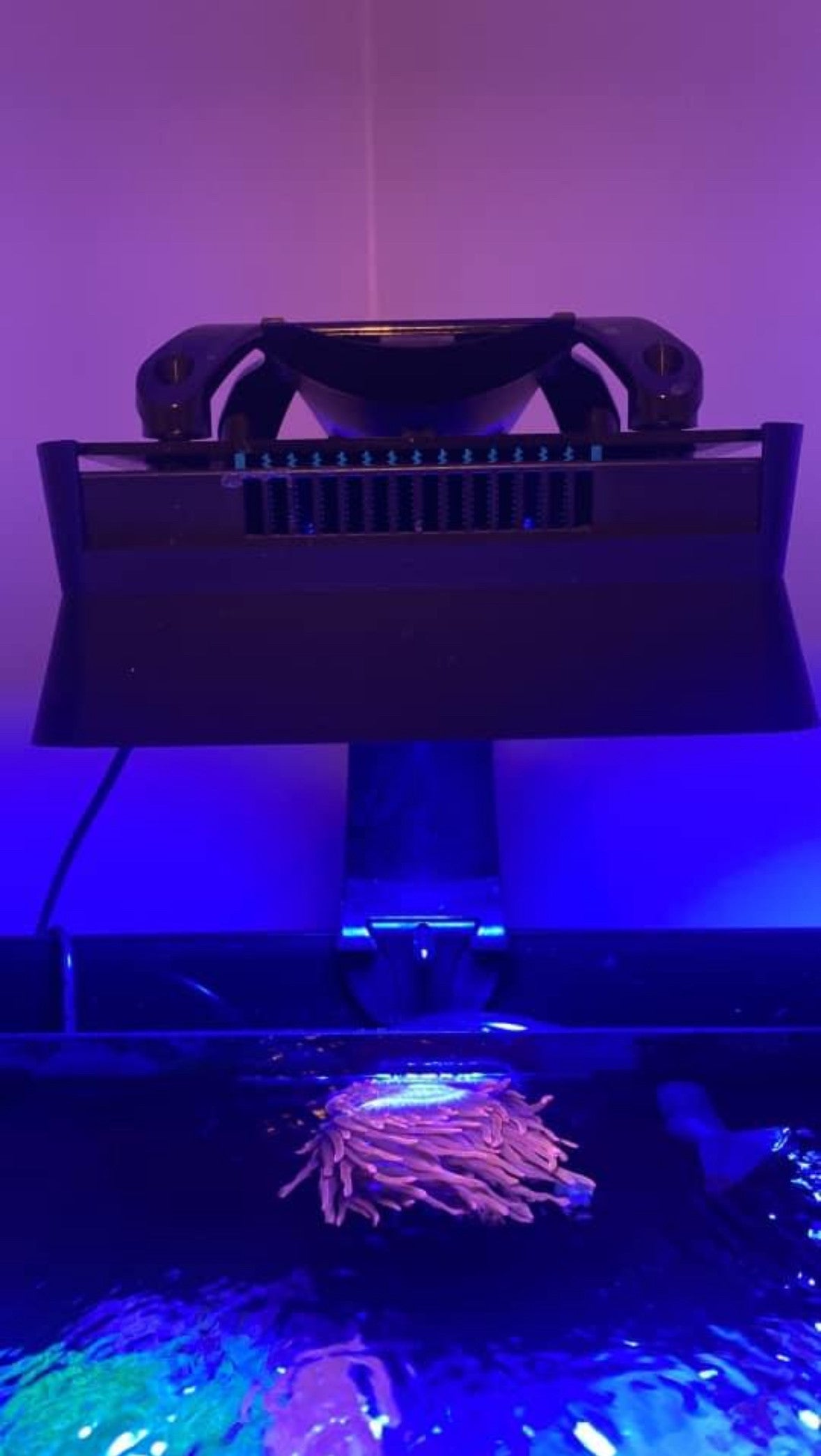 Ecotech XR15 Shade