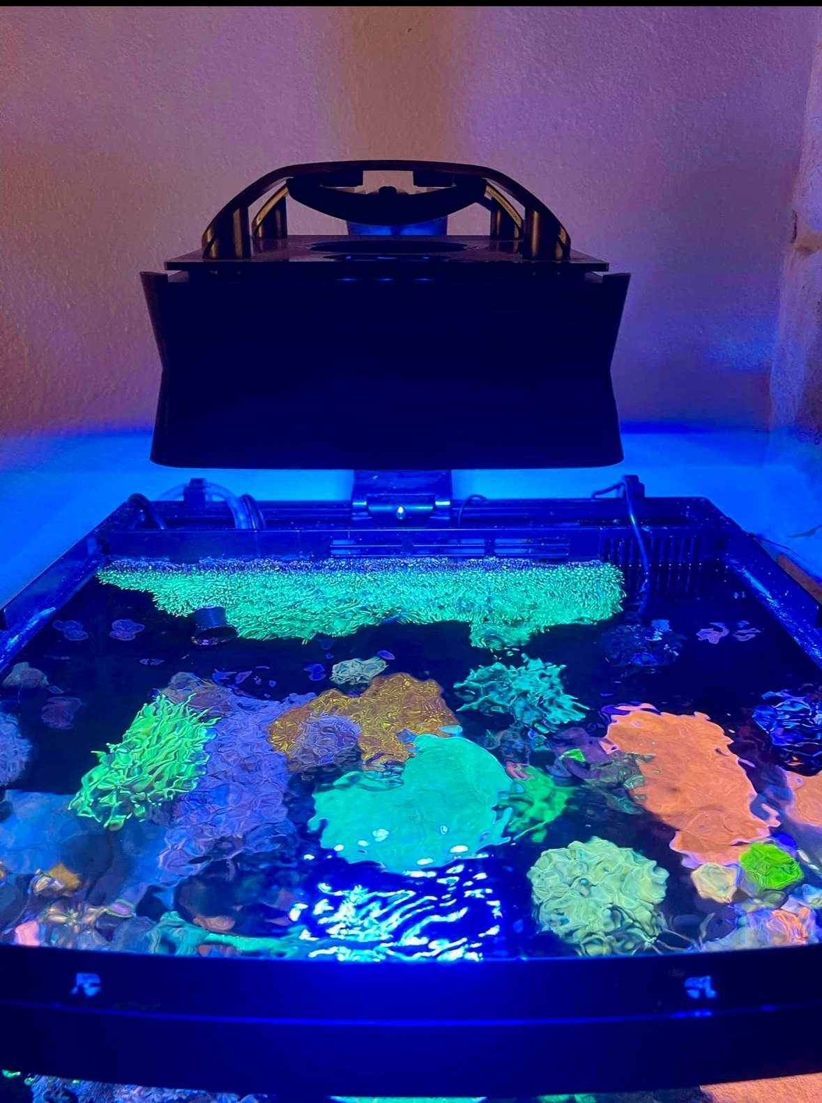 Ecotech XR15 Shade