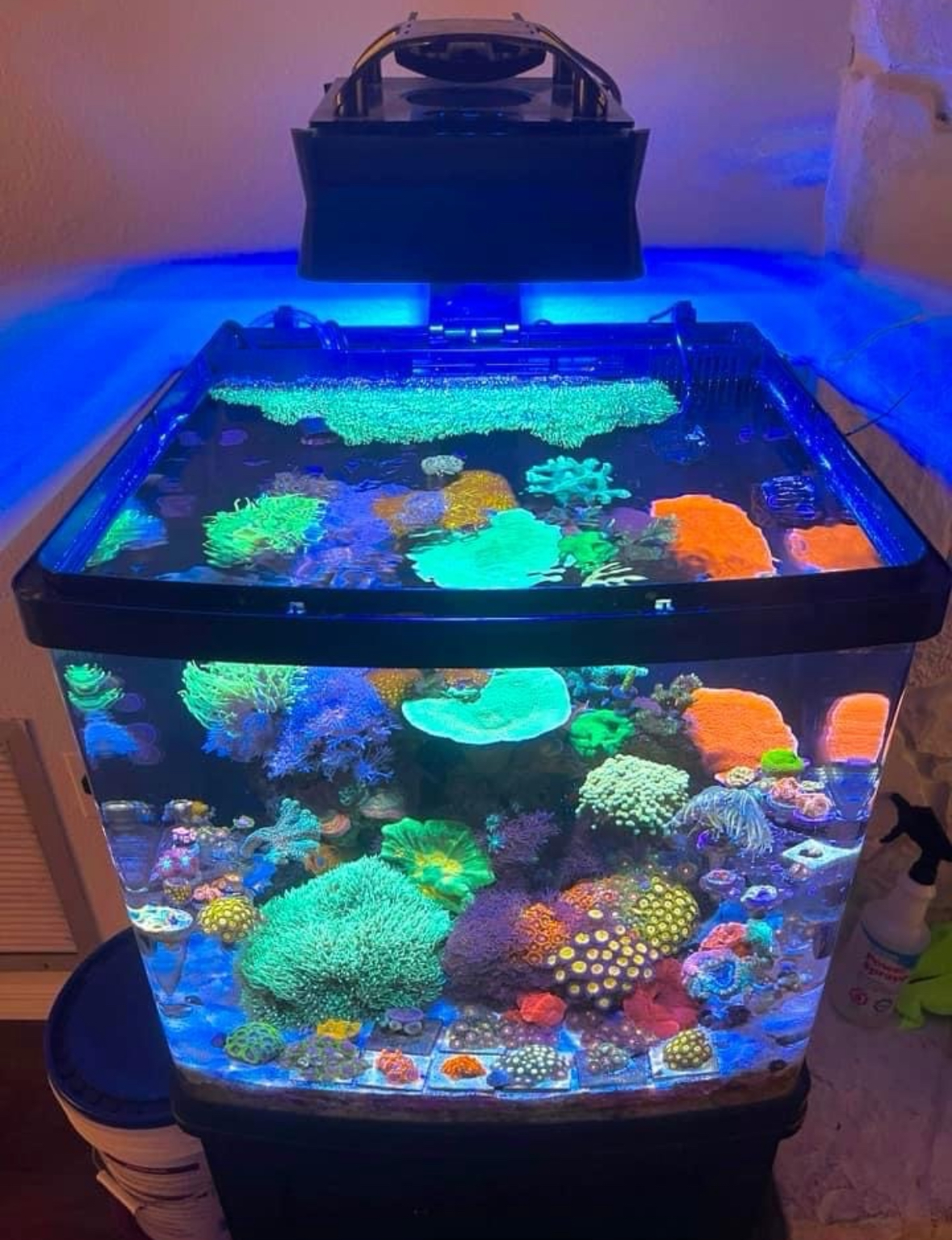 Ecotech XR15 Shade